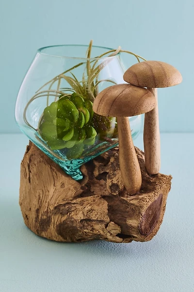 Mushroom Duo Rootwood Vase