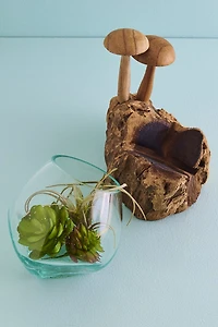 Buy Mushroom Duo Rootwood Vase Online at Earthbound Trading