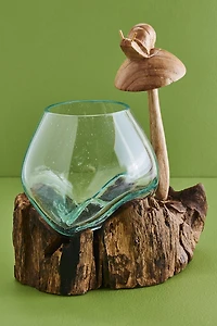 Buy Mushroom Snail Rootwood Vase Online at Earthbound Trading