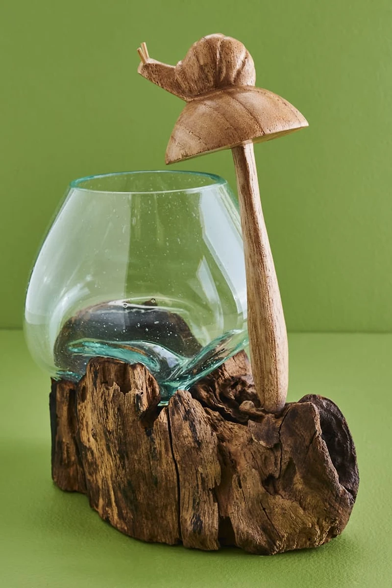 Buy Mushroom Snail Rootwood Vase Online at Earthbound Trading