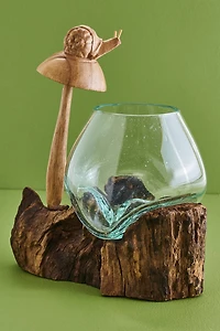 Buy Mushroom Snail Rootwood Vase Online at Earthbound Trading
