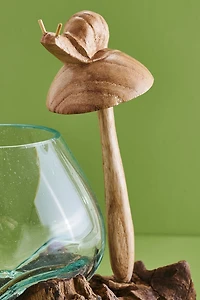 Buy Mushroom Snail Rootwood Vase Online at Earthbound Trading
