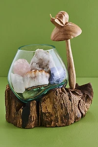 Buy Mushroom Snail Rootwood Vase Online at Earthbound Trading