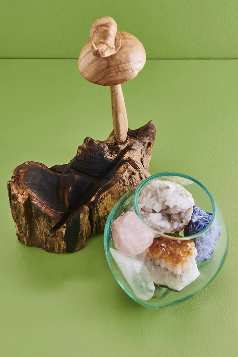Buy Mushroom Snail Rootwood Vase Online at Earthbound Trading