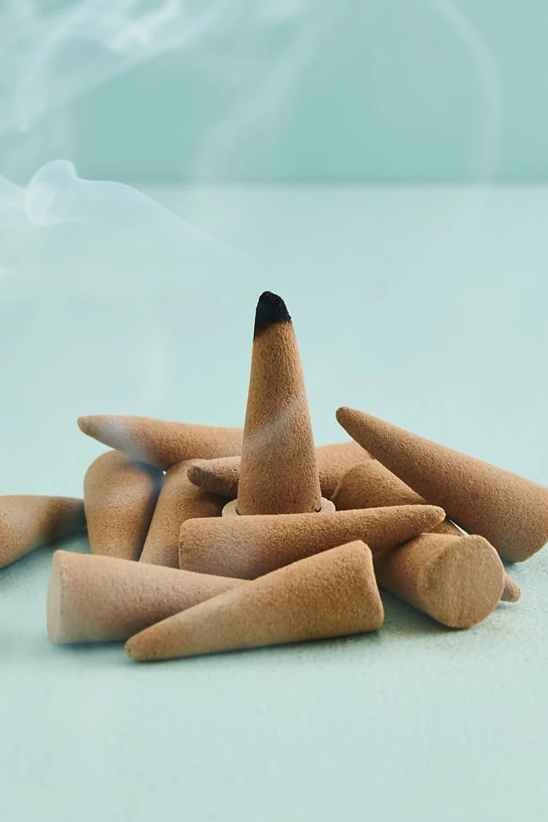 Buy Rose Organic Goodness Incense Cone and Burner Set Online at Earthbound Trading