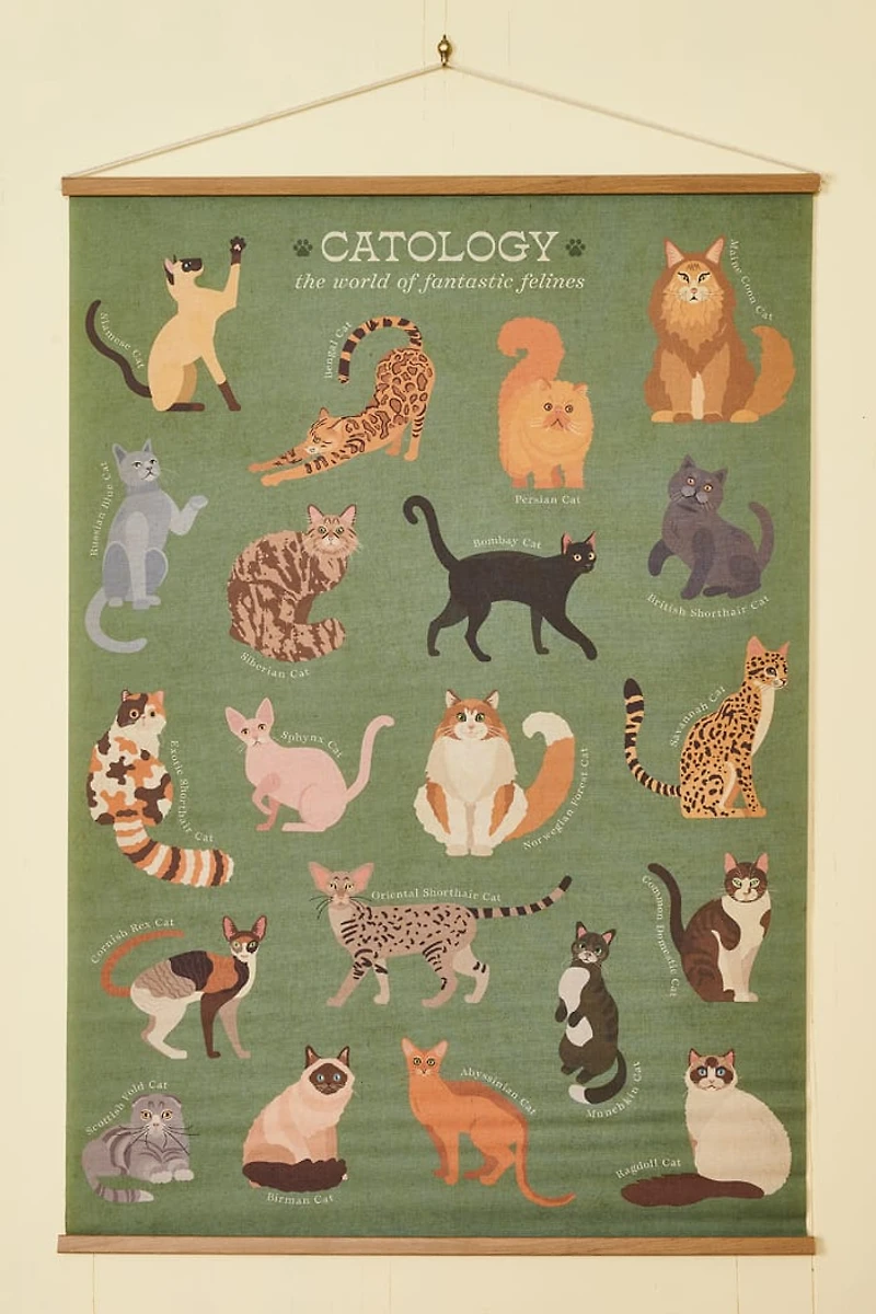 EBX Catology Feline Wall Art Banner