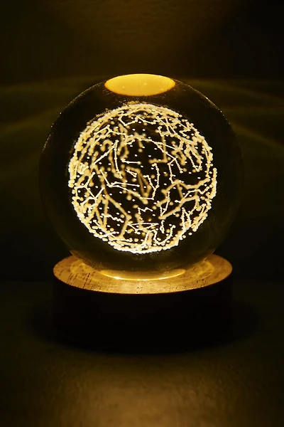 Zodiac Glass Ball Light