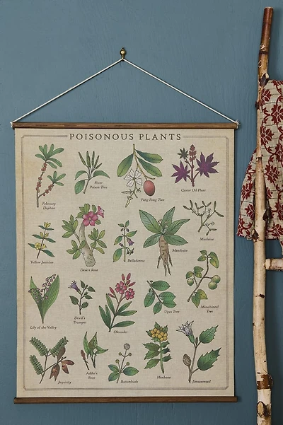 EBX Poisonous Plants Wall Art Banner