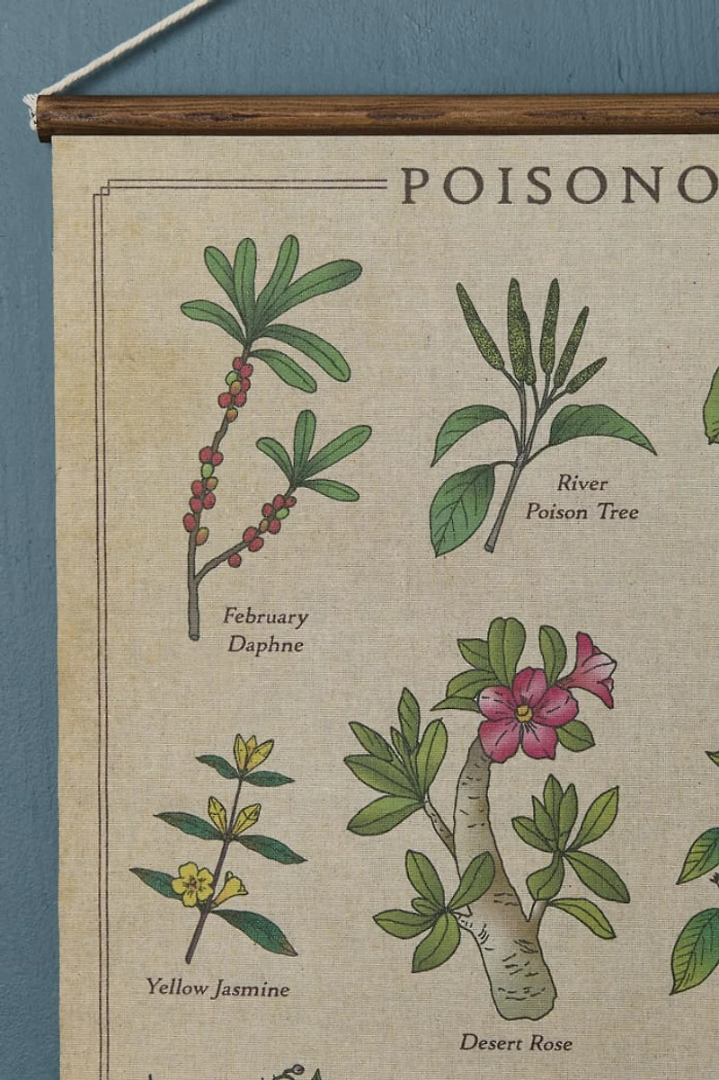 EBX Poisonous Plants Wall Art Banner