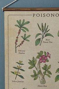 EBX Poisonous Plants Wall Art Banner