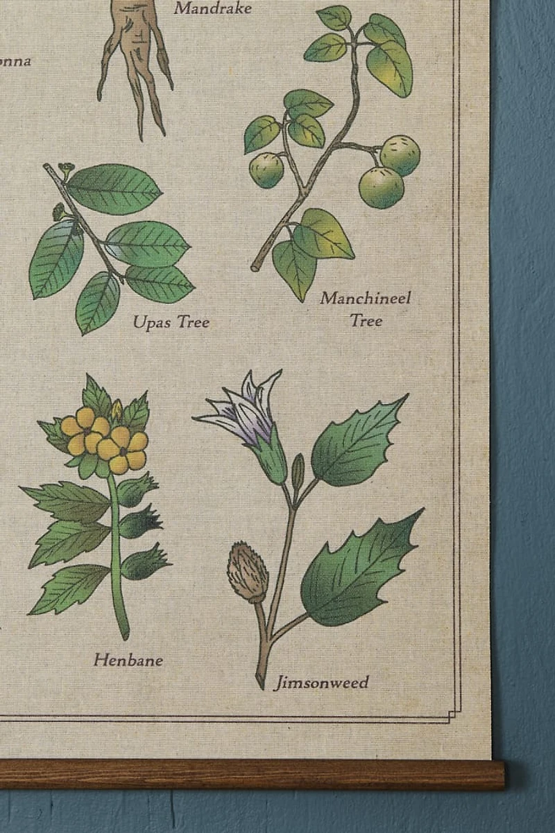 EBX Poisonous Plants Wall Art Banner