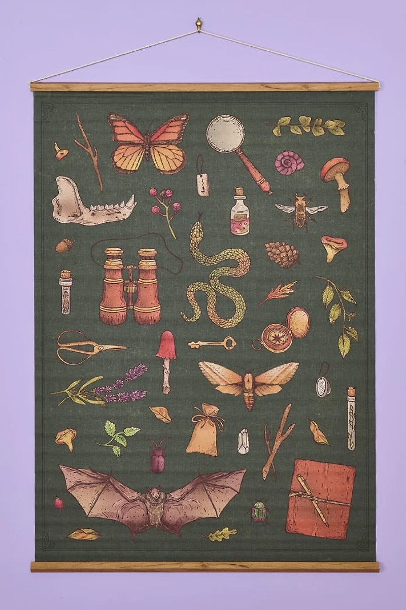 EBX Nature Study Wall Art Banner