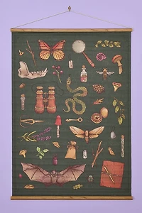 EBX Nature Study Wall Art Banner