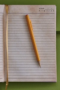 Lilac boho Moth Journal