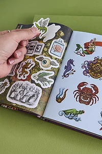 Buy Oddities Sticker, Color, and Activity Book Online at Earthbound Trading