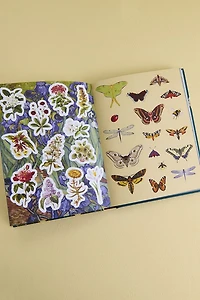 Buy Antiquities Sticker, Color, and Activity Book Online at Earthbound Trading