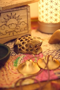 Soapstone Undercut Frog