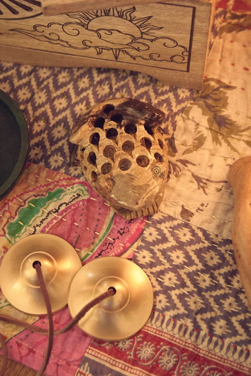 Buy Soapstone Undercut Frog Online at Earthbound Trading