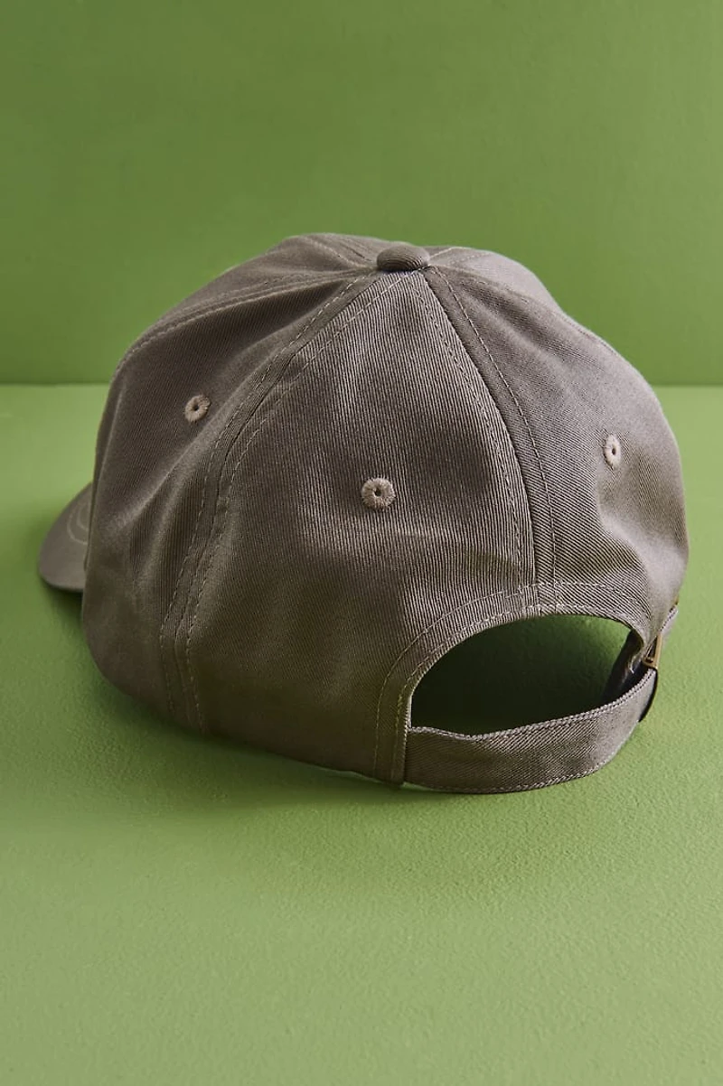 Buy Black Cat Ballcap Online at Earthbound Trading