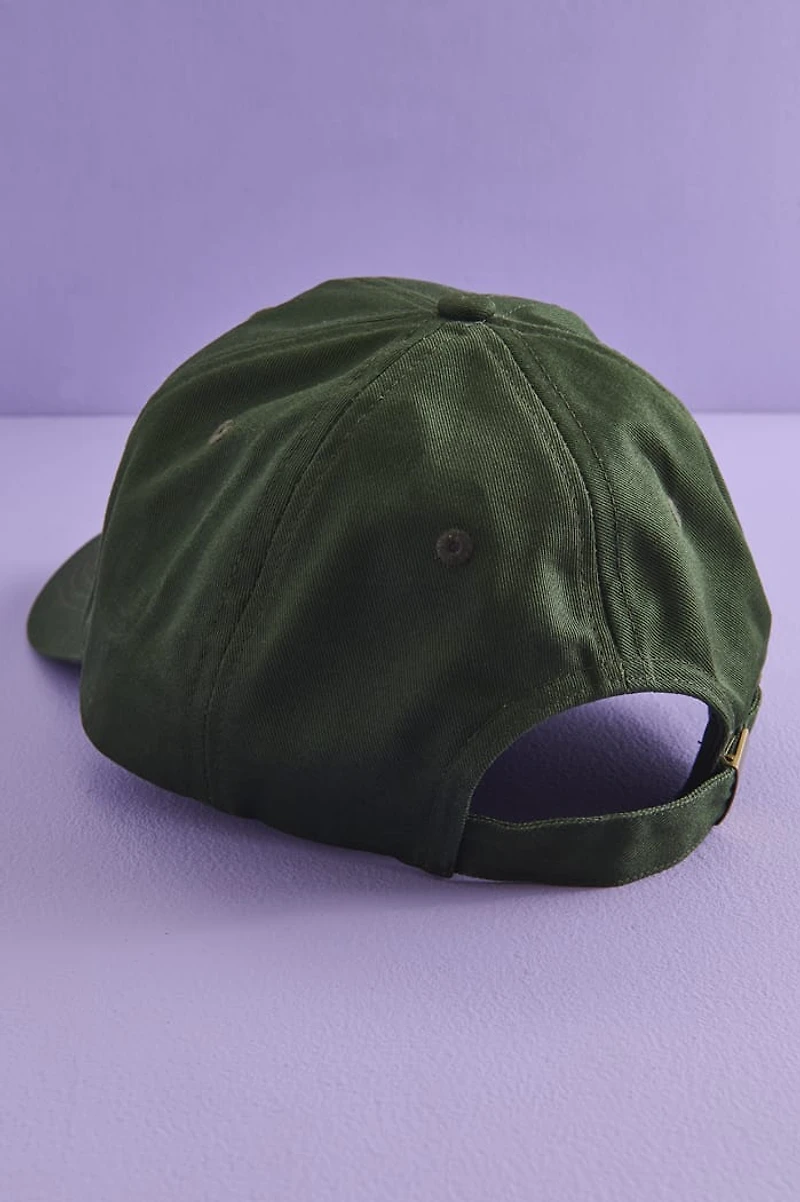 Buy Bookworm Ballcap Online at Earthbound Trading