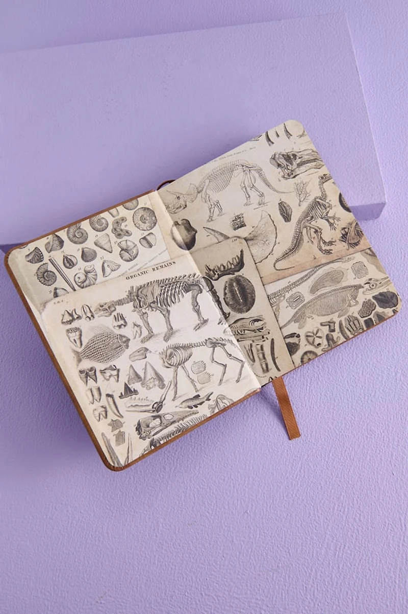 Paleontology Faux Mini Leather Journal