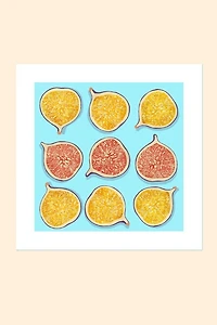 Figs on Blue Background Art Print