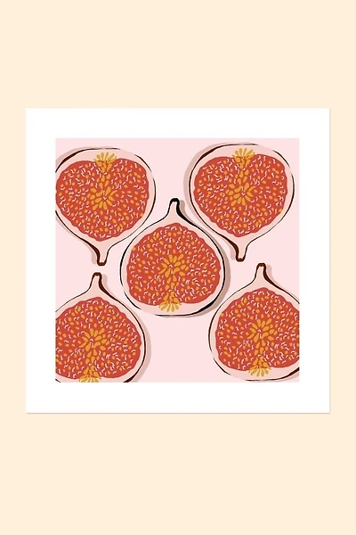 Figs on Pink Background Art Print
