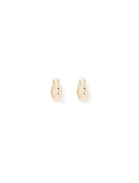Dionne Hinge Gold Plated Earrings
