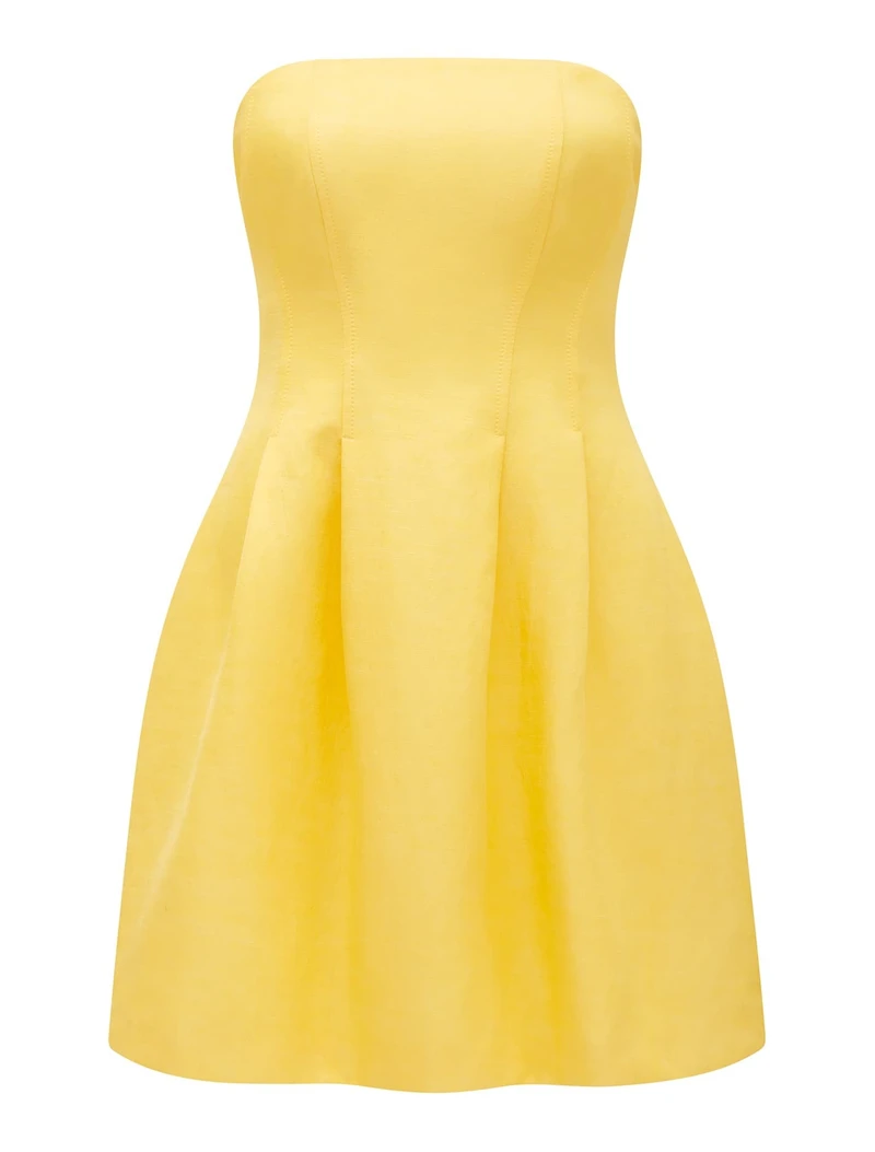 Shayla Strapless Mini Dress