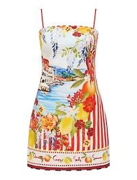 Sierra Printed Mini Dress