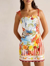 Sierra Printed Mini Dress