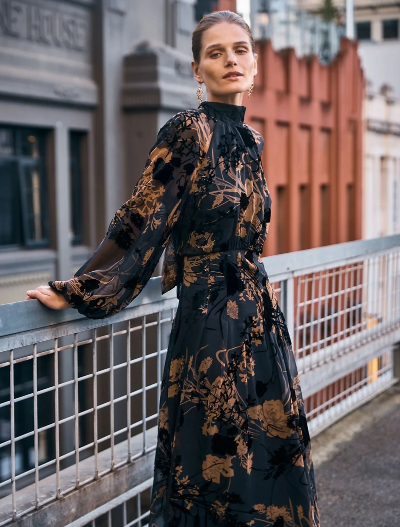 Janelle Velvet Burnout Maxi Dress