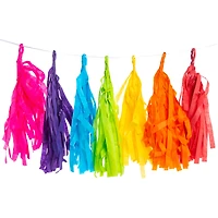 Rainbow Tissue Paper Tassel Banner Decoration 10ft Long