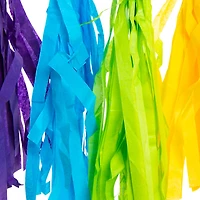 Rainbow Tissue Paper Tassel Banner Decoration 10ft Long