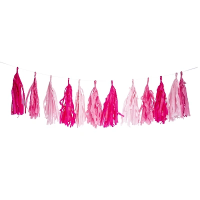 Tissue Paper Tassel Banner Decoration 10ft