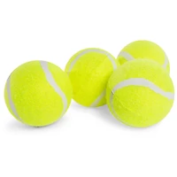 Tennis Balls 8-Pack With Mesh Bag