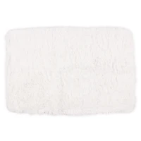 Plush Accent Rug 2ft x 3ft