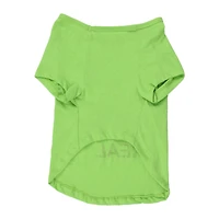 Summer Dog Graphic Tee - Sunglasses