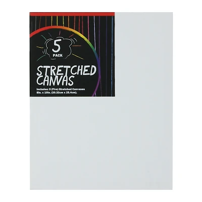 8in x 10in Stretched Canvas 5-Pack