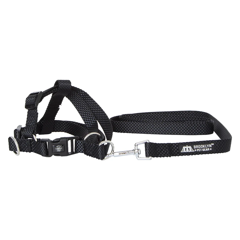 Dog Harness & 4ft Leash Set