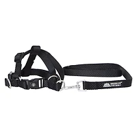 Dog Harness & 4ft Leash Set