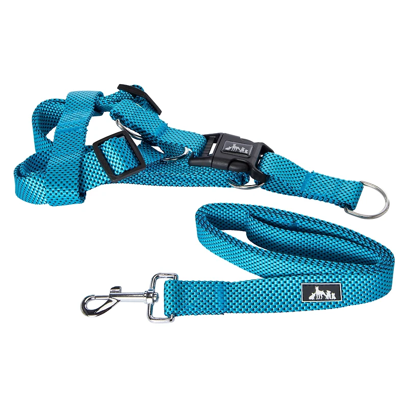 Dog Harness & Leash Set