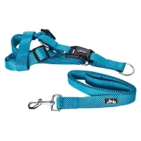 Dog Harness & Leash Set