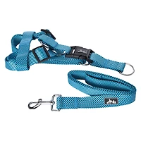 Dog Harness & Leash Set