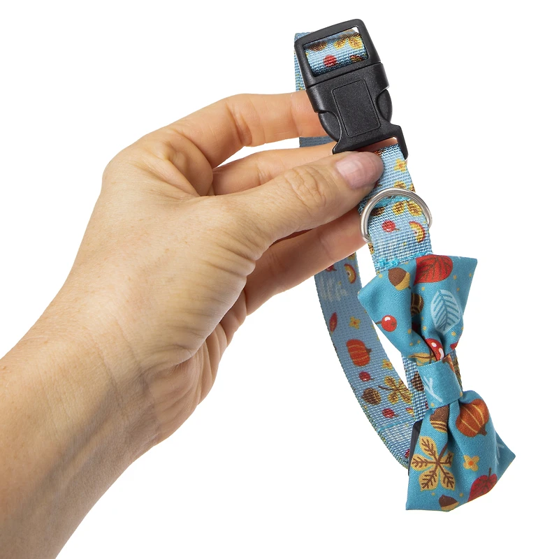 Matching Fall Pet Collar & Bandana Set