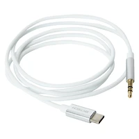 4ft USB-C To Aux Cable