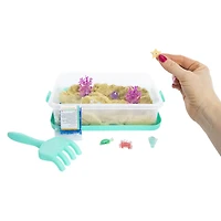 Beach Life Sensory Tub