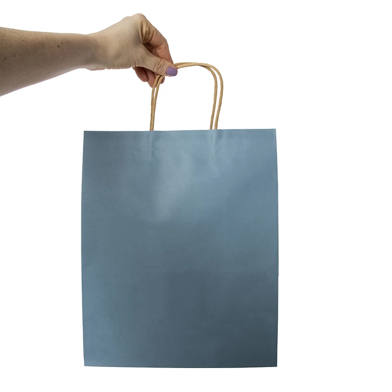 5-Count Large Kraft Gift Bags 13in x 10in - Blue