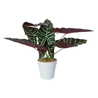 Faux Plant