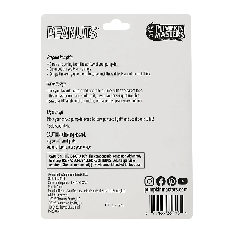 Peanuts® Charlie Brown And Woodstock Pumpkin Carving Kit